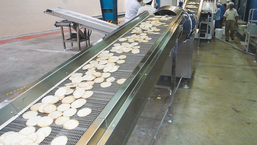 Plena Lorem Rice Cracker Productio Linea