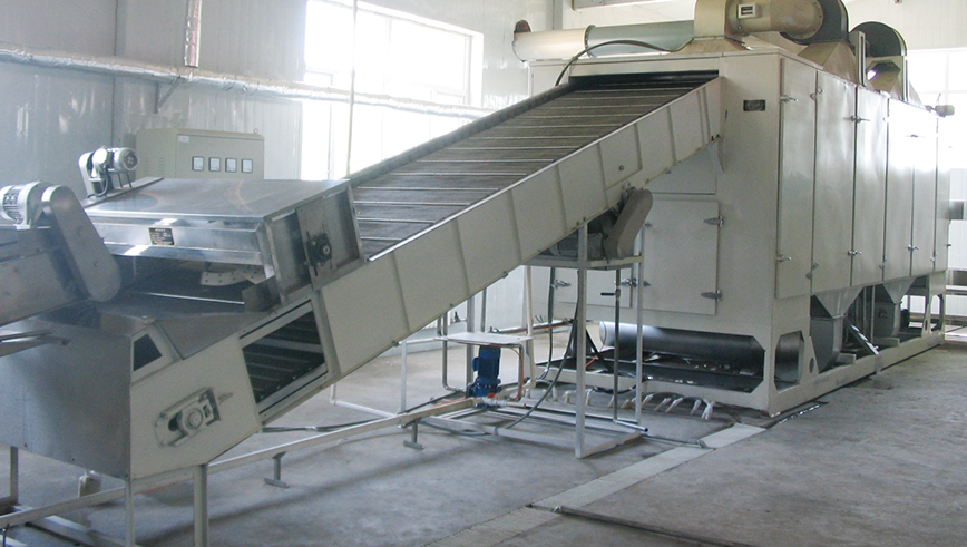 Natural Potato Chips Production Line